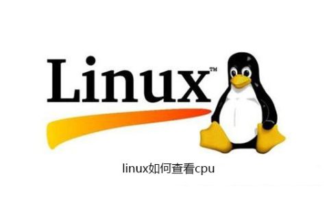 linux如何查看cpu