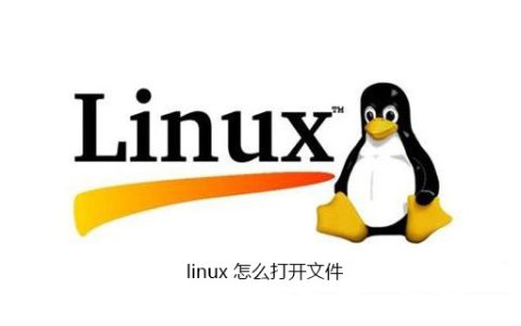 linux 怎么打开文件