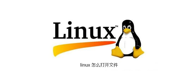 linux 怎么打开文件