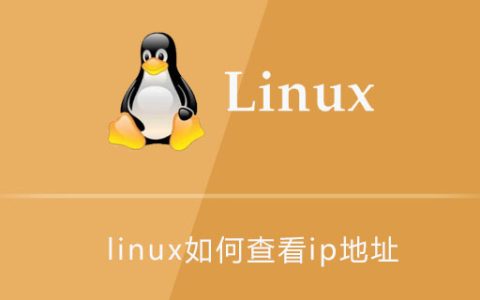 linux如何查看ip地址