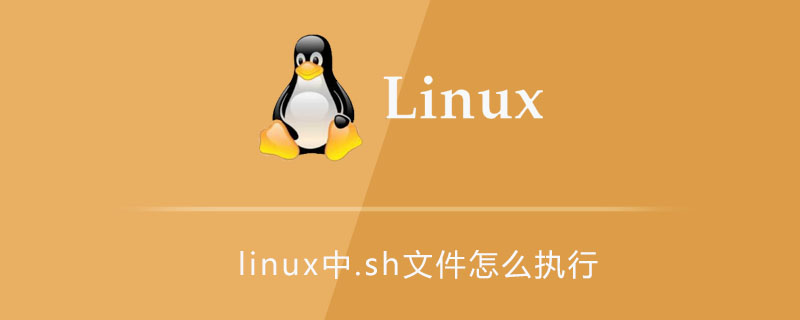 linux中.sh文件怎么执行