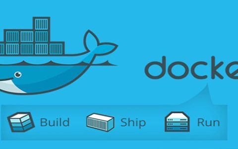 如何查看docker中mysql的版本