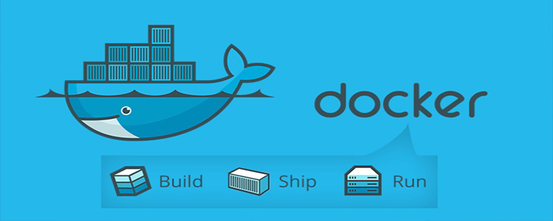 如何查看docker中mysql的版本