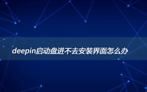 deepin启动盘进不去安装界面怎么办