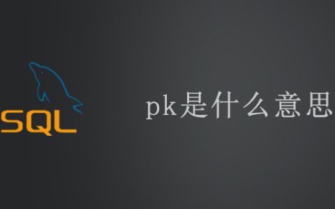 pk主键是什么意思？