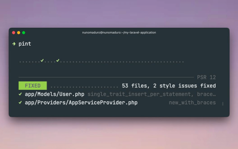 分享一个Laravel编码格式化工具：Laravel Pint