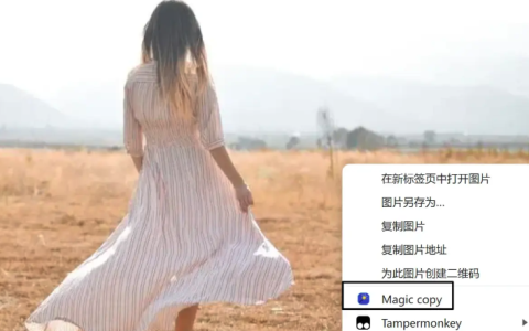 免费看影片的浏览器2025汇总