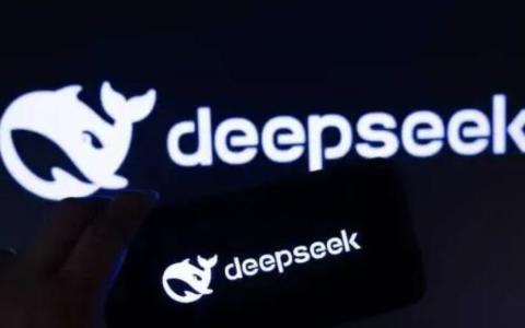 DeepSeek 在工作中的惊艳表现
