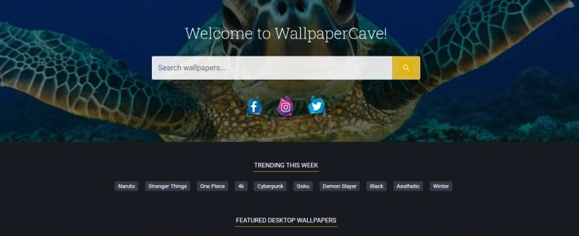 wallpaper网站入口 wall.paper免费网站入口 - 创想鸟