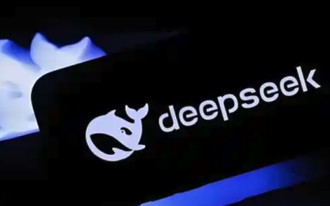如何在项目中使用DeepSeek开源推理引擎？