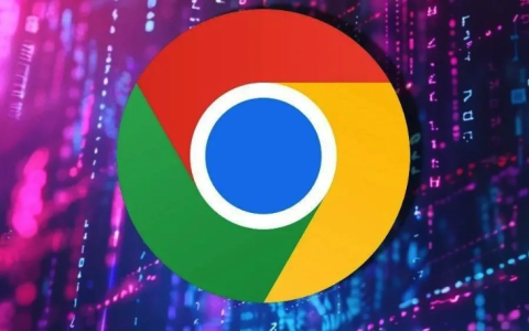 Google谷歌浏览器手机版访问入口2025