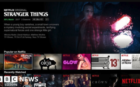 netflix在线观看网站 netflix电影在线观看网站入口