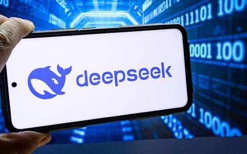 DeepSeek AI怎么自动生成摘要 DeepSeek AI处理长文内容的方法分享