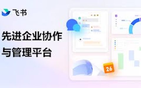 飞书语音通话可以录音吗 飞书语音通话如何开启录音功能