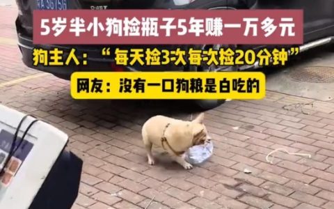 5岁半小狗捡瓶5年攒下万元存款是怎么回事？详情介绍