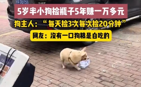 5岁半小狗捡瓶5年攒下万元存款是怎么回事？详情介绍