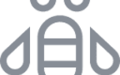 使用IBM Data Studio在DB2 for Linux, UNIX, and Windows中配置