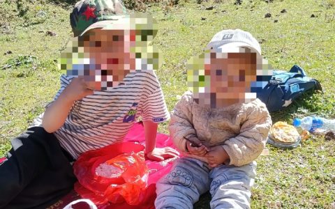 兄妹被胡蜂蜇亡全身伤口达700个是怎么回事？详情介绍