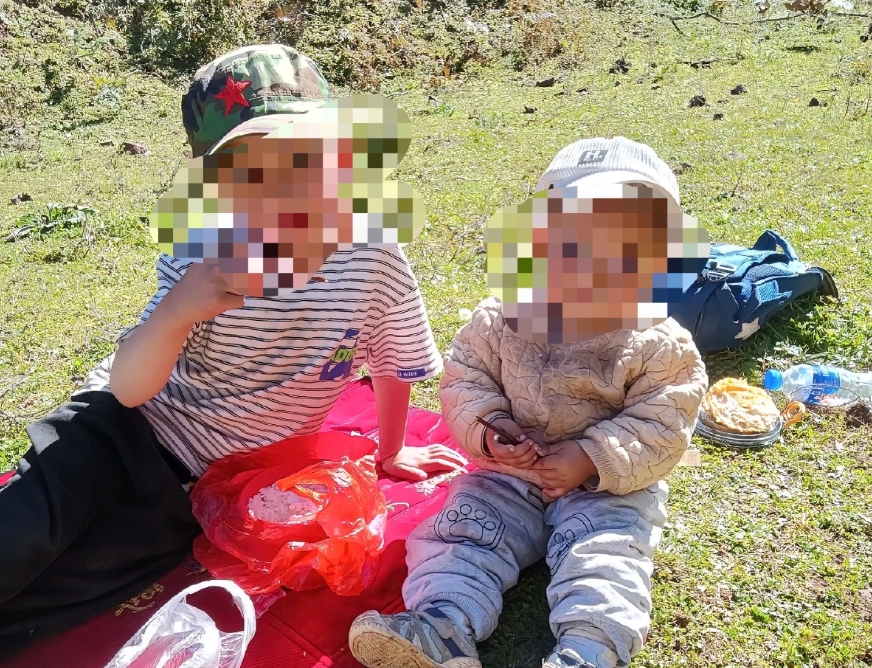 兄妹被胡蜂蜇亡全身伤口达700个是怎么回事？详情介绍 - 创想鸟