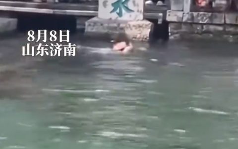 游客掉入趵突泉 网友：大家都是来看的，为什么你能又游又喝