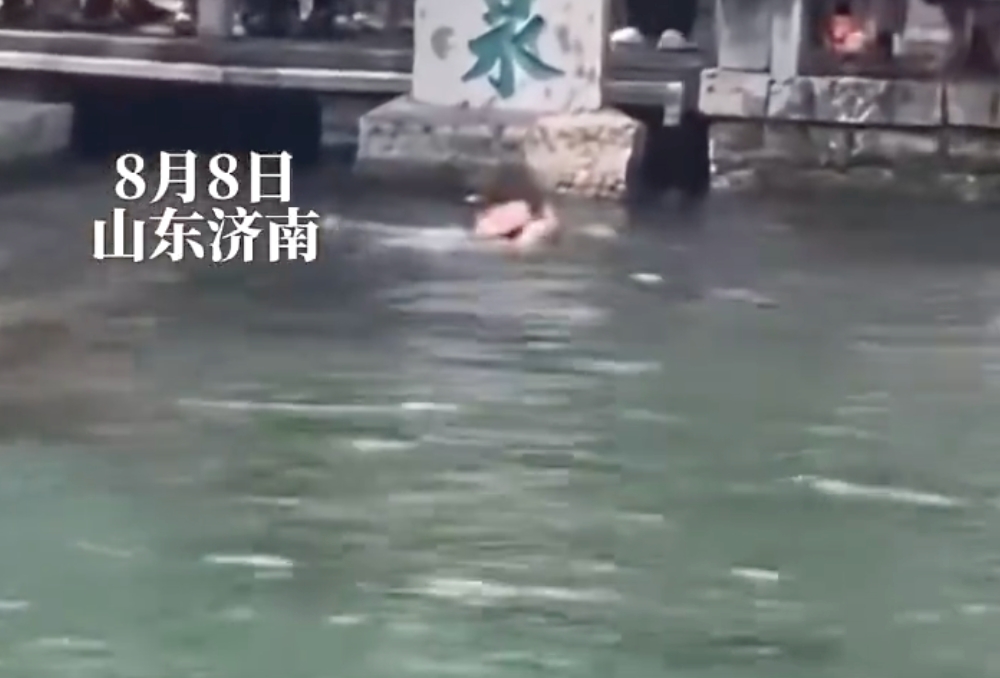游客掉入趵突泉 网友:大家都是来看的,为什么你能又游又喝 - 创想鸟