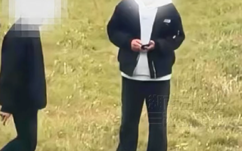 3男子在公共场合放烈性犬虐杀小猫 当地公安：已经立案调查