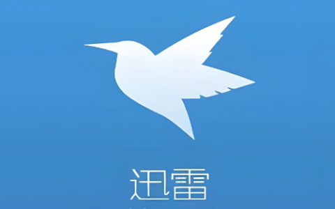 迅雷浏览器网页版入口官网 迅雷浏览器网站免费进入
