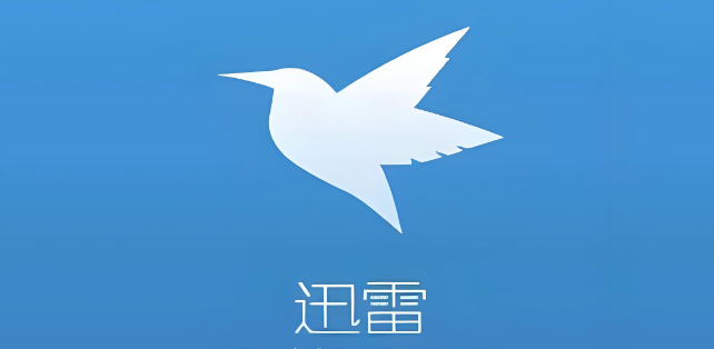 迅雷浏览器网页版入口官网 迅雷浏览器网站免费进入 - 创想鸟
