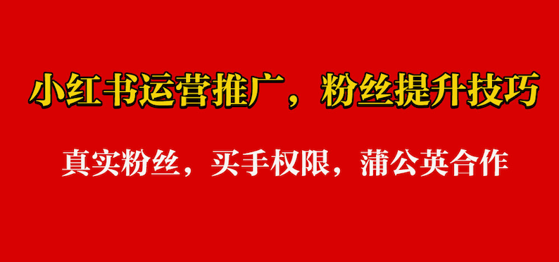 小红书快速涨粉新思路，这5种办法很有用 - 创想鸟