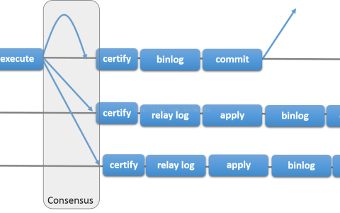 详细介绍MySQL Group Replication[Single-Primary Mode]的搭建部署过程