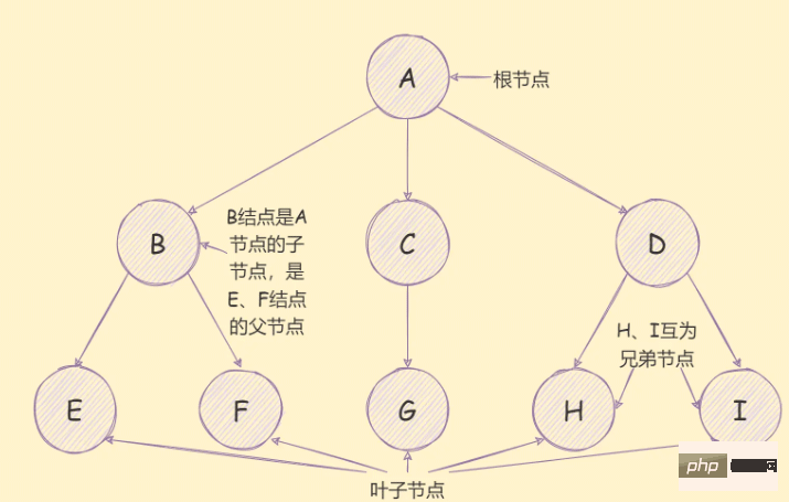 一文掌握JavaScript树结构深度优先算法