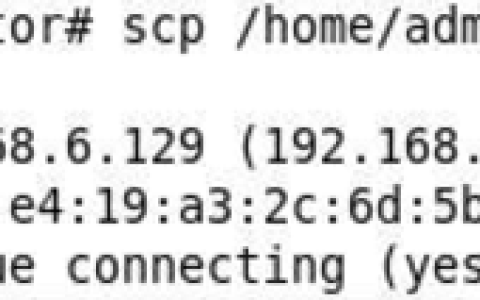 Linux命令–scp的使用