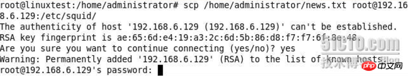 Linux命令--scp的使用