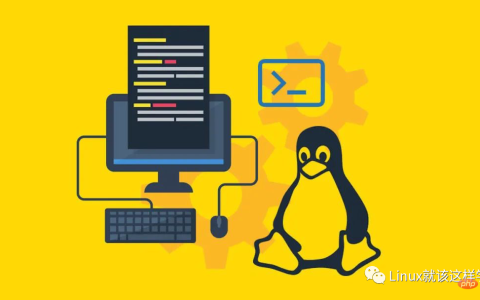 4 个 Linux 技巧，你值得拥有