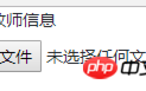 HTML实现美化上传文件样式