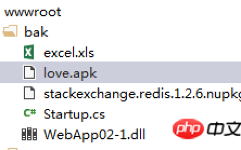 .Net Core之实现下载文件的实例