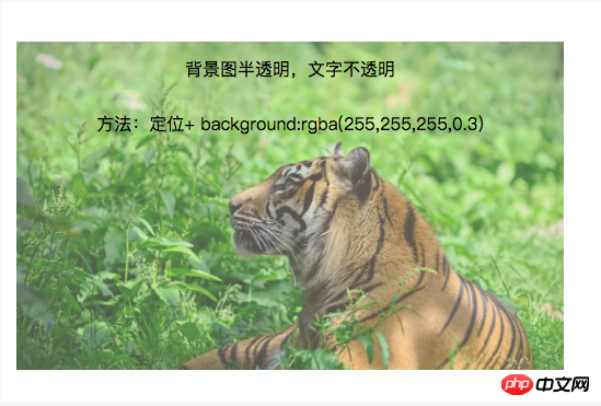 1496294348650295.png c020d80850c44f98d2745844fc60ebf4-1.png