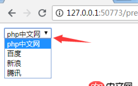 html select标签怎么默认选中？select标签的使用介绍