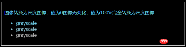 CSS中filter属性定义了元素的可视效果的介绍