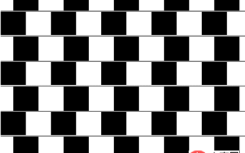如何使用纯CSS实现棋盘的错觉动画（附源码）