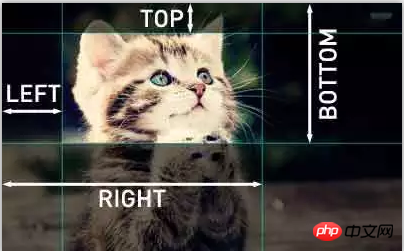 1540622232269012.png 2875190557-5bd2b3adbb5e5_articlex.png