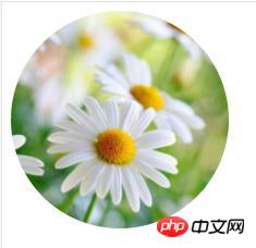 1541474888566074.jpg 360截图20181106112734205.jpg