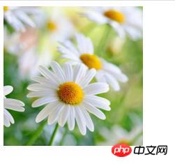 1541474938829235.jpg 360截图20181106112842331.jpg