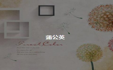 如何使用CSS实现背景图像透明
