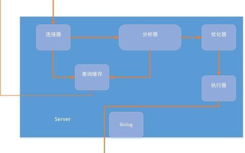 SQL语句在MySQL中如何执行？