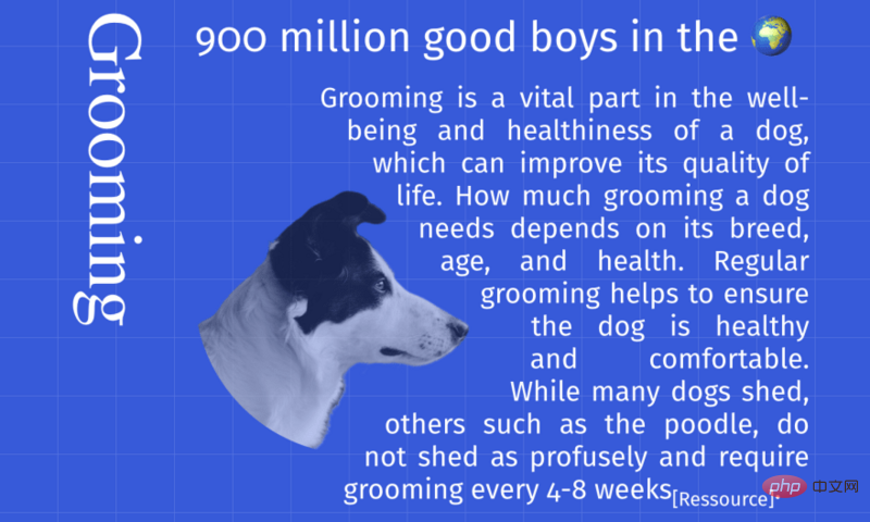 1605000749637517.png 6.png