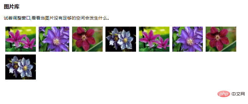 1614155056828003.png fd3205e41fa6db78add7d887d8c2c5c.png