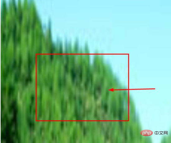 1615970208424965.png 254af056fa634bfafe542ef8c1c7234.png