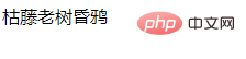 css如何设置粗体