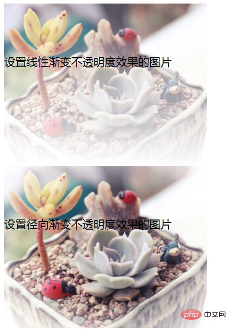 1626926219974379.png 2.png